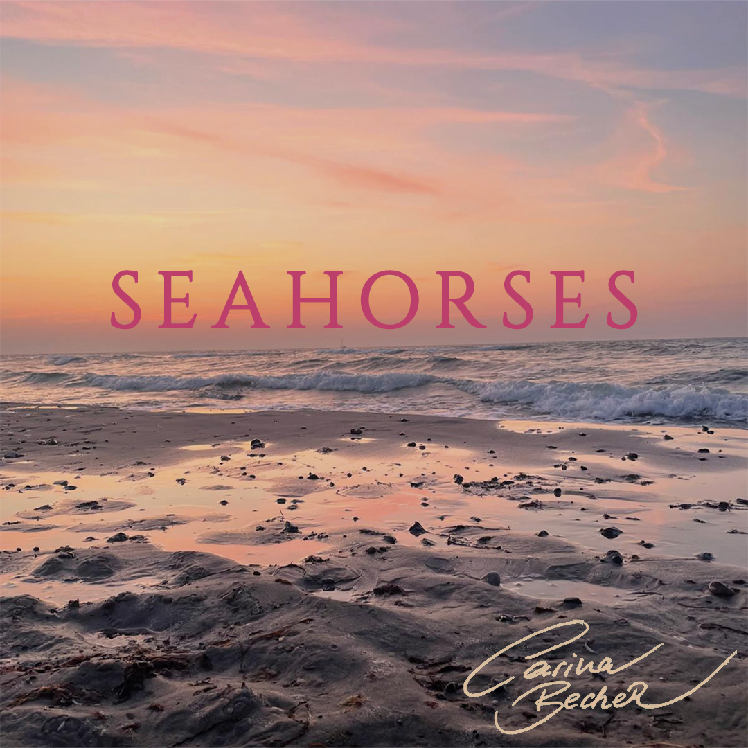 Seahorses - Single